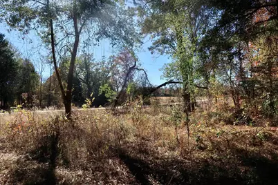 16619 Ridgeline Loop, Winona, TX 75792 - Photo 12