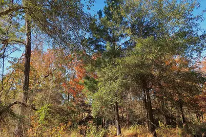 16619 Ridgeline Loop, Winona, TX 75792 - Photo 4