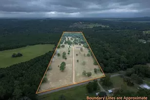 1000 Co Rd 3211, Jacksonville, TX 75766 - Photo 24
