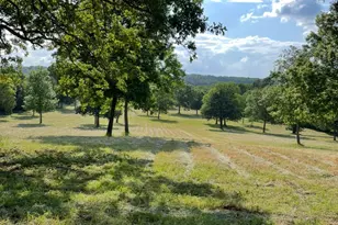 1000 Co Rd 3211, Jacksonville, TX 75766 - Photo 24