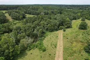 120 Fsr 513, Kennard, TX 75847 - Photo 40