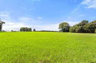 1147 N Fm 346, Bullard, TX 75757 - Photo 12