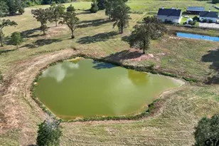 395 Co Rd 2482, Mineola, TX 75773 - Photo 44