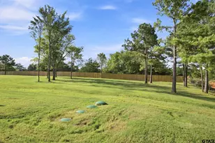 14217 Woodland Pkwy, Flint, TX 75762 - Photo 44