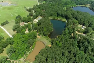 891 Private Rd 8454, Montalba, TX 75853 - Photo 4