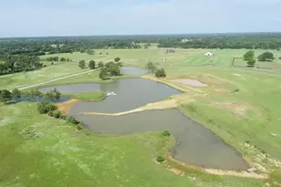 891 Private Rd 8454, Montalba, TX 75853 - Photo 14