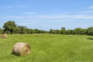 365 Co Rd 1534, Alba, TX 75410 - Photo 6