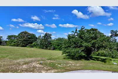 Lot 262 High Point Ct, Athens, TX 75752 - Photo 2