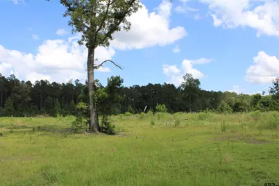 Tbd Cr 1110 - Tract 4, Rusk, TX 75785 - Photo 2