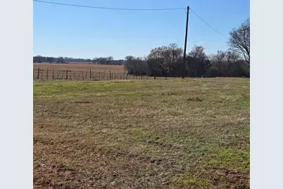 20688 County Road 178, Flint, TX 75762 - Photo 4