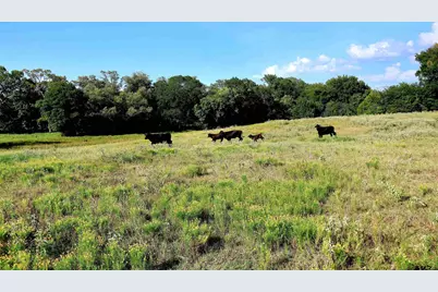20688 County Road 178, Flint, TX 75762 - Photo 34