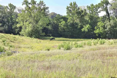 20688 County Road 178, Flint, TX 75762 - Photo 24