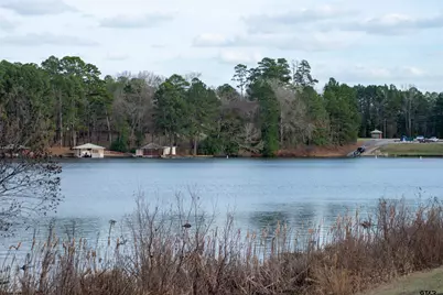 115 Raton Pass, Holly Lake Ranch, TX 75765 - Photo 44