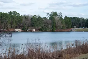 115 Raton Pass, Holly Lake Ranch, TX 75765 - Photo 44