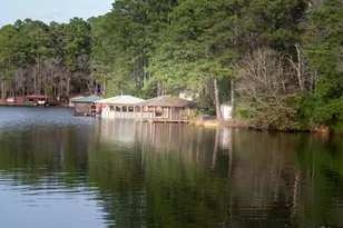 115 Raton Pass, Holly Lake Ranch, TX 75765 - Photo 42