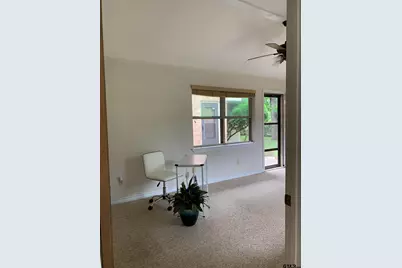 115 Raton Pass, Holly Lake Ranch, TX 75765 - Photo 28