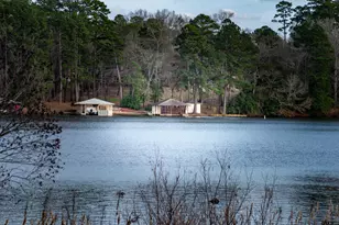 115 Raton Pass, Holly Lake Ranch, TX 75765 - Photo 42