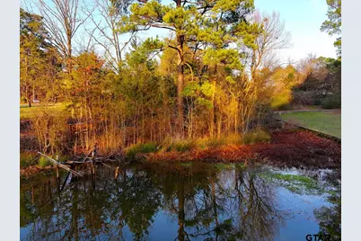 Lot 128, 144 County Road 2123, Quitman, TX 75783 - Photo 20