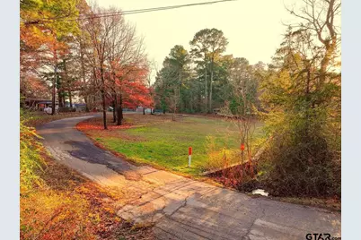Lot 128, 144 County Road 2123, Quitman, TX 75783 - Photo 8
