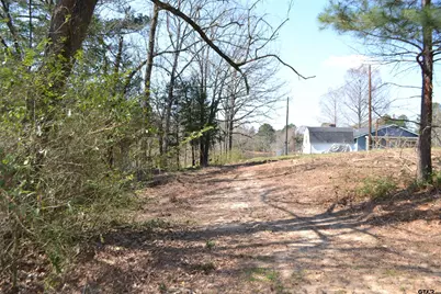 Lot 128, 144 County Road 2123, Quitman, TX 75783 - Photo 34