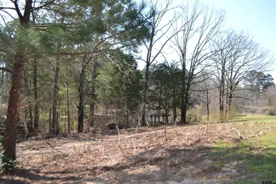 Lot 128, 144 County Road 2123, Quitman, TX 75783 - Photo 24
