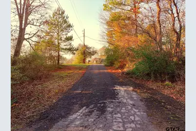 Lot 128, 144 County Road 2123, Quitman, TX 75783 - Photo 10