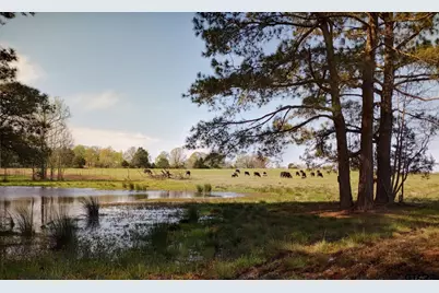 6888 Farm To Market 2888, Naples, TX 75568 - Photo 22