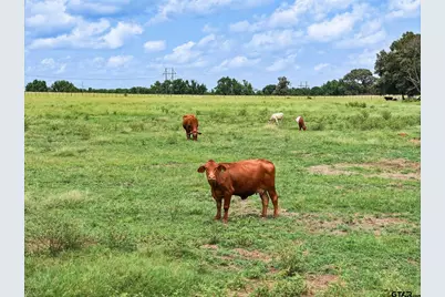 [Address not provided], Jacksonville, TX 75766 - Photo 12