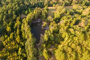 205 Co Rd 2880, Mineola, TX 75773 - Photo 20