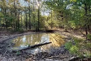 205 Co Rd 2880, Mineola, TX 75773 - Photo 26
