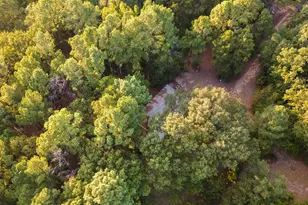 205 Co Rd 2880, Mineola, TX 75773 - Photo 14