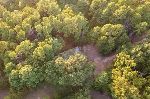 205 Co Rd 2880, Mineola, TX 75773 - Photo 10