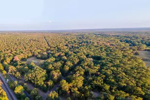 205 Co Rd 2880, Mineola, TX 75773 - Photo 12