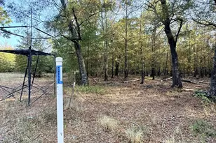 205 Co Rd 2880, Mineola, TX 75773 - Photo 26