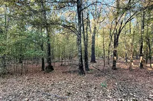 205 Co Rd 2880, Mineola, TX 75773 - Photo 30