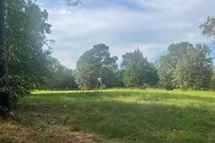 205 Co Rd 2880, Mineola, TX 75773 - Photo 8