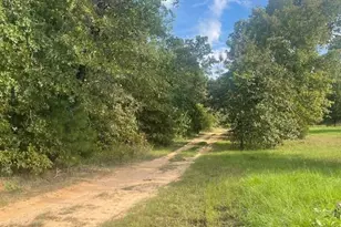205 Co Rd 2880, Mineola, TX 75773 - Photo 10