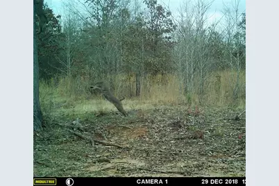 205 County Road 2880, Mineola, TX 75773 - Photo 22