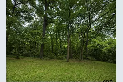 Tbd County Road 4510, Winnsboro, TX 75494 - Photo 4