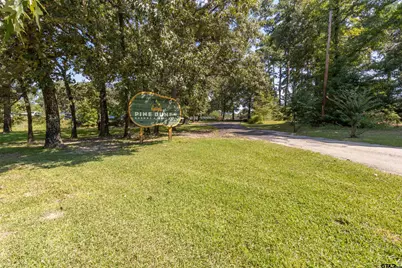782 An County Road 325, Frankston, TX 75763 - Photo 38