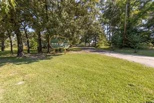 782 An County Rd 325, Frankston, TX 75763 - Photo 38