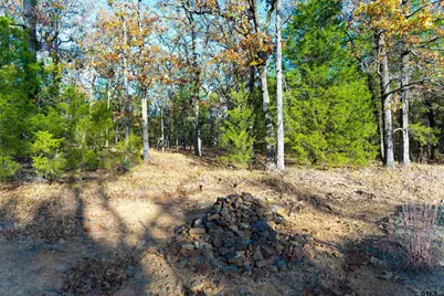 Tbd County Road 3105, Edgewood, TX 75117 - Photo 28