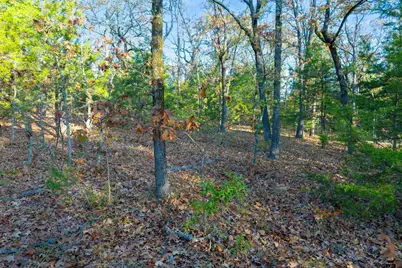 Tbd County Road 3105, Edgewood, TX 75117 - Photo 24