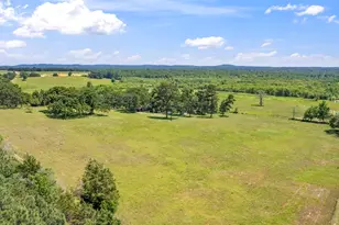 12250 Co Rd 3513, Brownsboro, TX 75756 - Photo 2