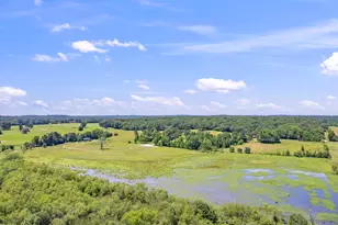 12250 Co Rd 3513, Brownsboro, TX 75756 - Photo 8