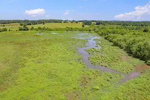 12250 Co Rd 3513, Brownsboro, TX 75756 - Photo 34