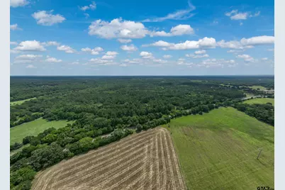 16210 Sh 110 N, Lindale, TX 75771 - Photo 8