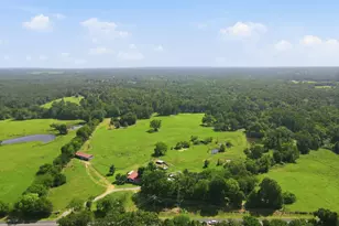16376 Hwy 11, Winnsboro, TX 75494 - Photo 32