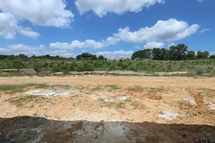 15151 Coop Ln, Tyler, TX 75703 - Photo 16
