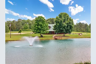 21184 County Road 2162, Troup, TX 75789 - Photo 2